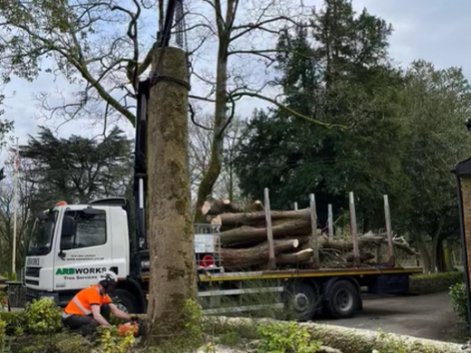 tree removal bolton